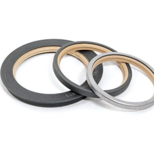 CRANK SEAL BBC
