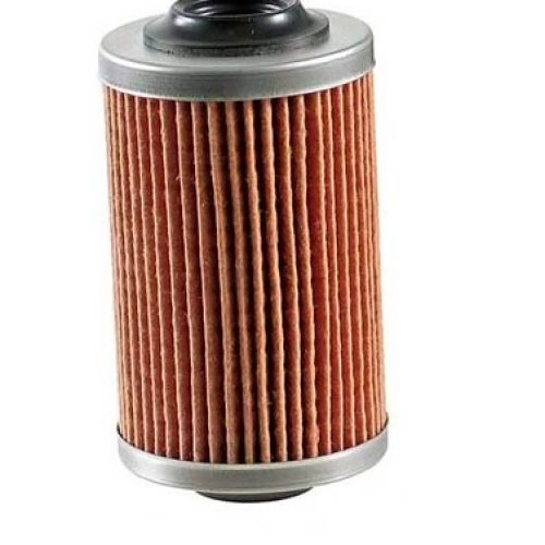 CARTRIDGE OIL FILTER, HOLDEN COMMODORE VZ VE VF V6 ALLOYTEC