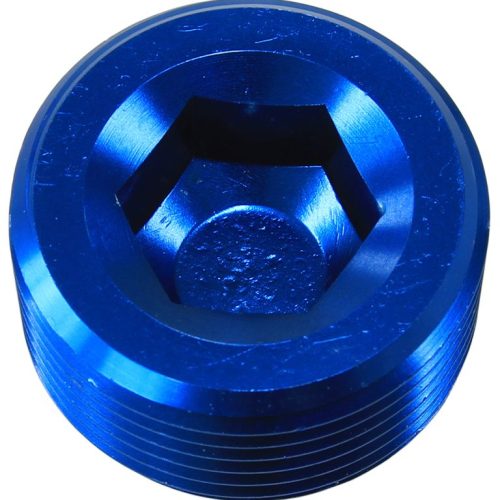 NPT PLUG 1/2″                 BLUE 1/2” NPT 25pk