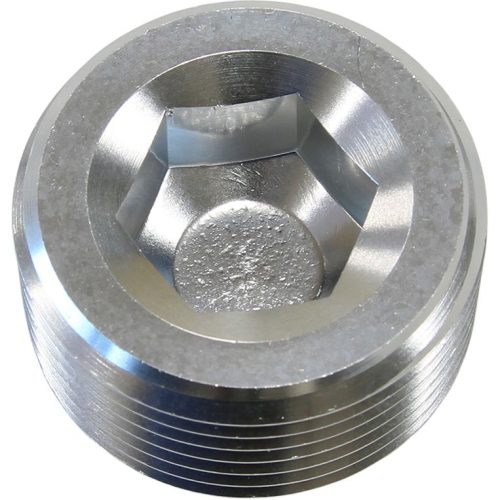 NPT PLUG 1″                   SILVER 1″ NPT